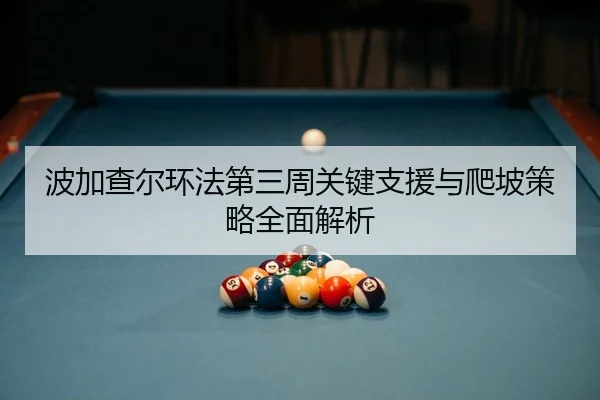 bo-jia-cha-er-huan-fa-di-san-zhou-guan-jian-zhi-yuan-yu-pa-po-ce-lve-quan-mian-jie-xi-2-483.jpg